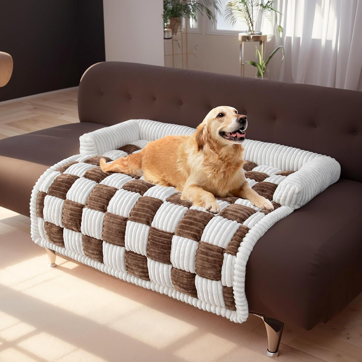 Pet Bed